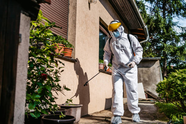 Best Termite Control Services  in Kapn, LA
