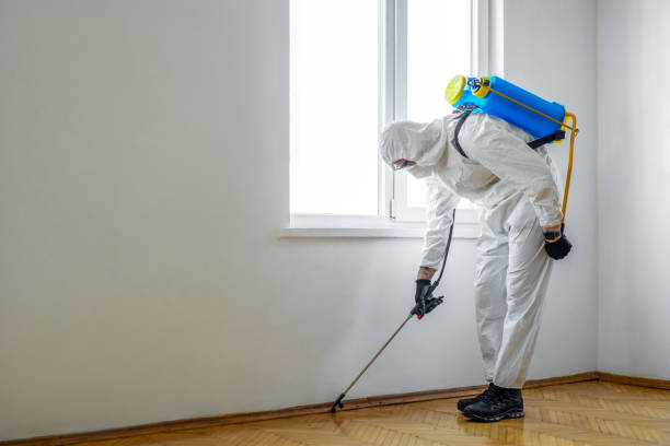 Reliable Kaplan, LA Pest Control Solutions