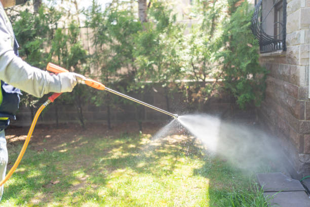 Best Affordable Pest Control Services  in Kapn, LA