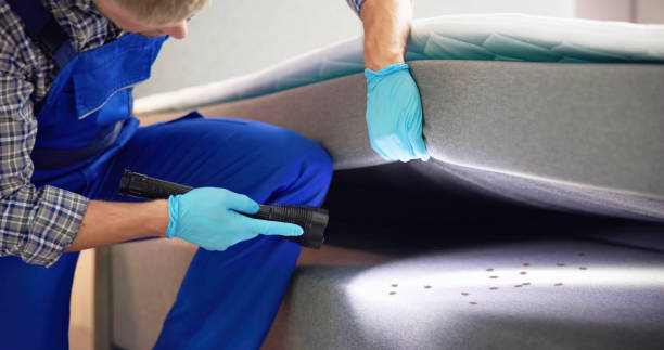 Best Pest Inspection Near Me  in Kapn, LA