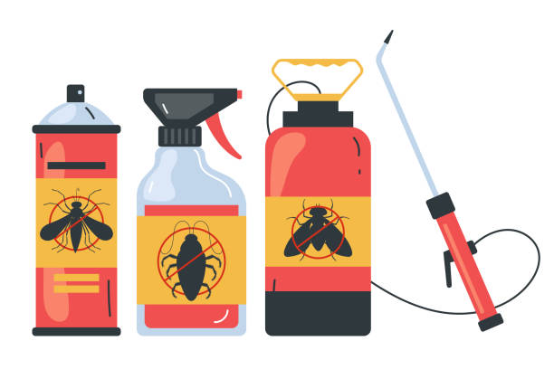 Best Affordable Pest Control Services  in Kapn, LA