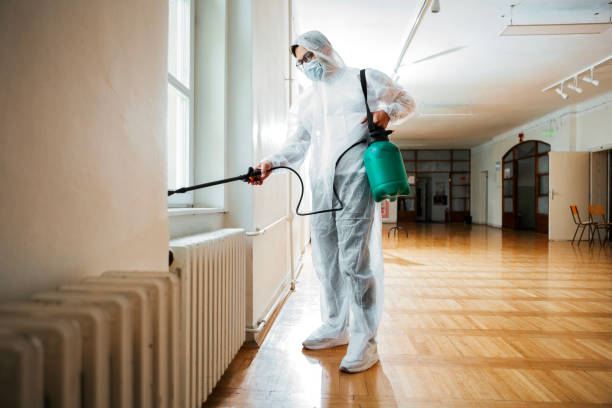 Best Pest Removal Services  in Kapn, LA