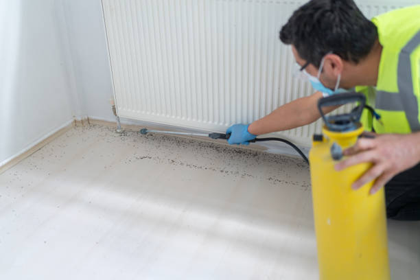 Wasp Removal Services in Kaplan, LA