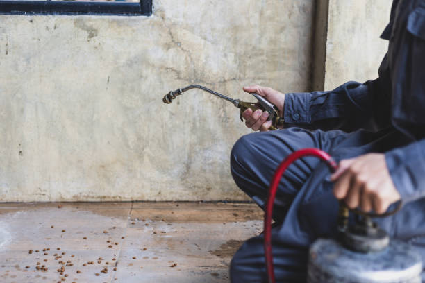 Best Cockroach Control Services  in Kapn, LA
